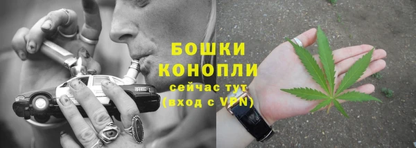 соль ск Арсеньев