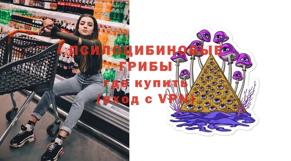 соль ск Арсеньев