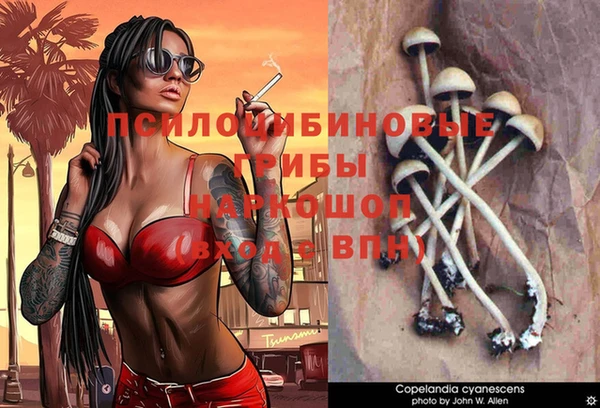 соль ск Арсеньев