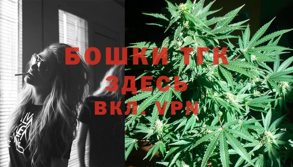 соль ск Арсеньев