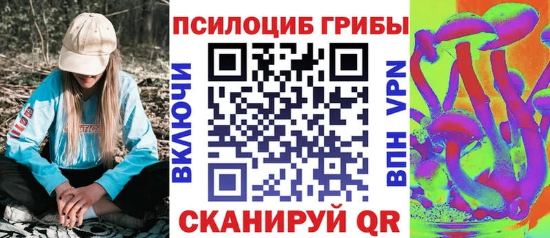 Галлюциногенные грибы Cubensis  где продают наркотики  Могоча 